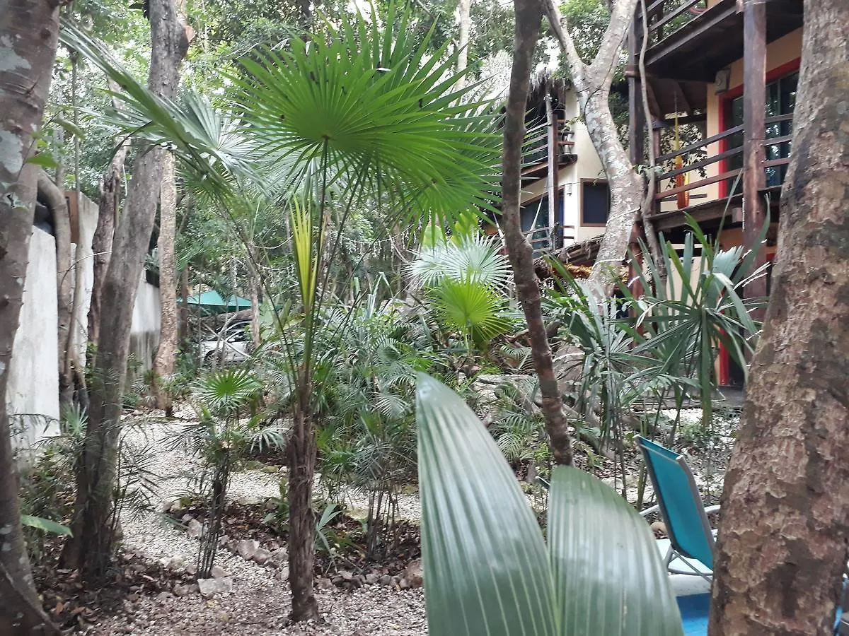 Dolce Caribe Xcaret Bed and Breakfast Playa del Carmen 2*,  México